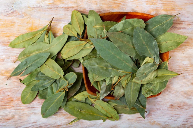 Image 388589683061 Eetbare laurier: Alles over de eetbare soort en toepassingen