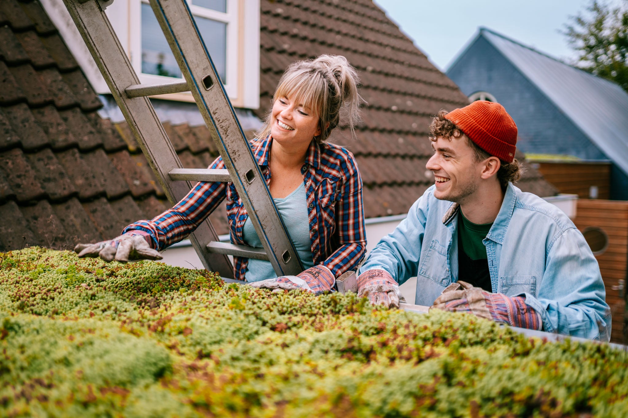 Alles over het gewicht van een groendak per m2 Alles over het gewicht van een groendak per m2