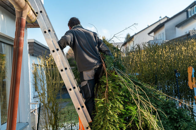 Zelf coniferen verwijderen uit je tuin: 5 stappen