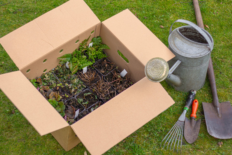 Borderpakket onderhoudsarm