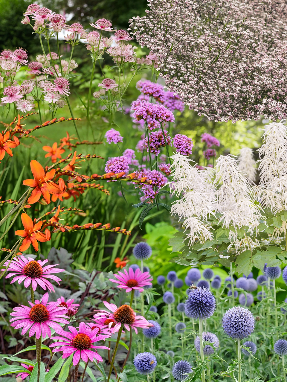 Borderpakket plukbloemen
