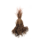 Glansroos