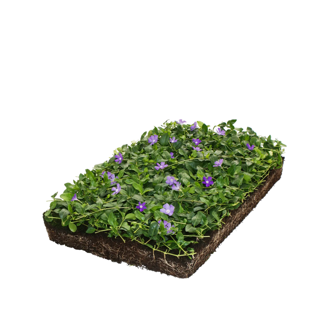 Mis.Moon 2 stuks plantenmatten, 100 x 100 cm, opvouwbaar, met 1 cm x 10 m plantenbinders (2 rollen) voor tuinbouwbeplanting, waterdichte tuinmat, verstelbare tuinwerkmat Mis.Moon 2 stuks plantenmatten, 100 x 100 cm, opvouwbaar, met 1 cm x 10 m plantenbinders (2 rollen) voor tuinbouwbeplanting, waterdichte tuinmat, verstelbare tuinwerkmat