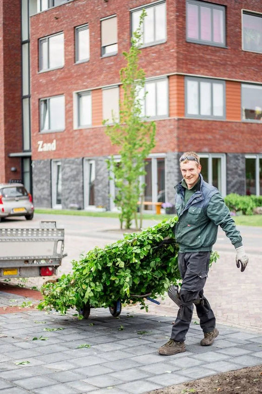 IJzeren paal (voor hagen van 180 cm)